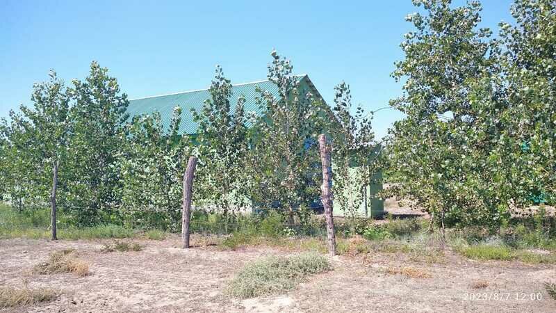 Удачное место, Астраханская область: фото 4