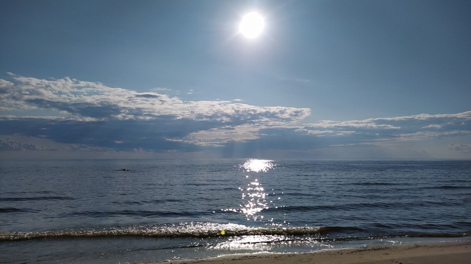 Фото 16 из отзыва о рыболовно-охотничьей базе Ухра