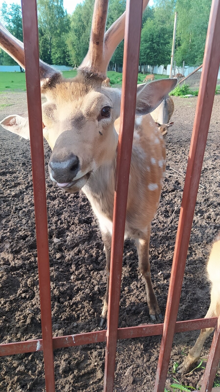 Фото 17 из отзыва о рыболовно-охотничьей базе Ухра
