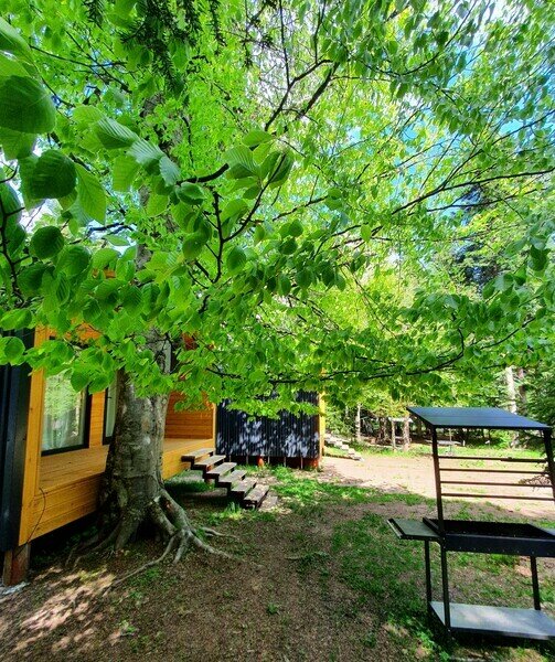 Siyanie Family Club, Республика Карачаево-Черкесия: фото 5