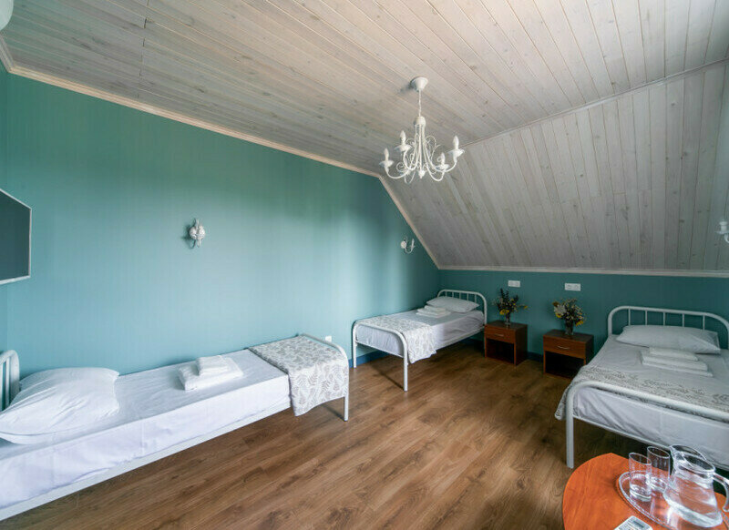 Эконом 3-местый 1-комнатный (Мятный)