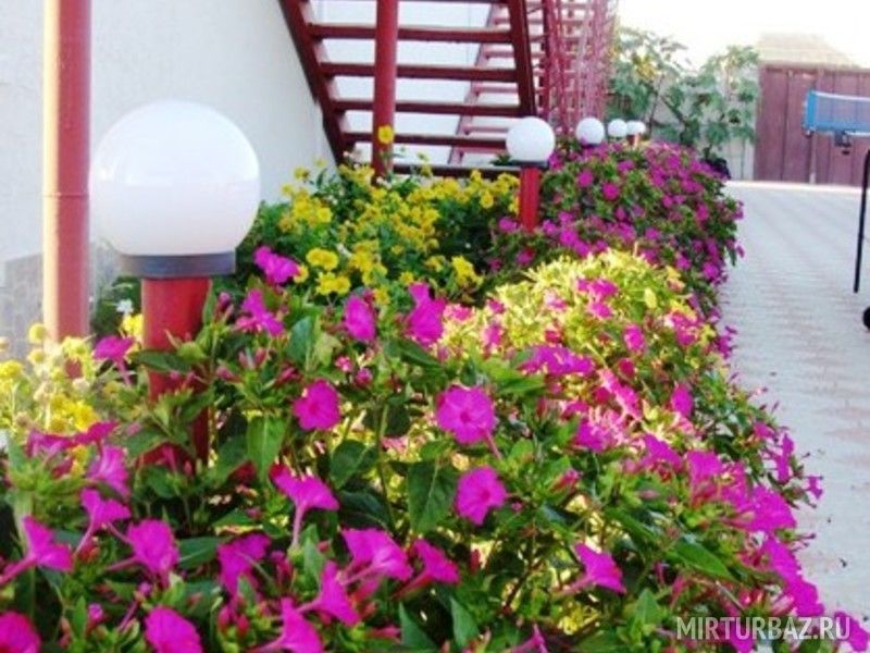 База отдыха «Место под солнцем» | Место под солнцем, Крым