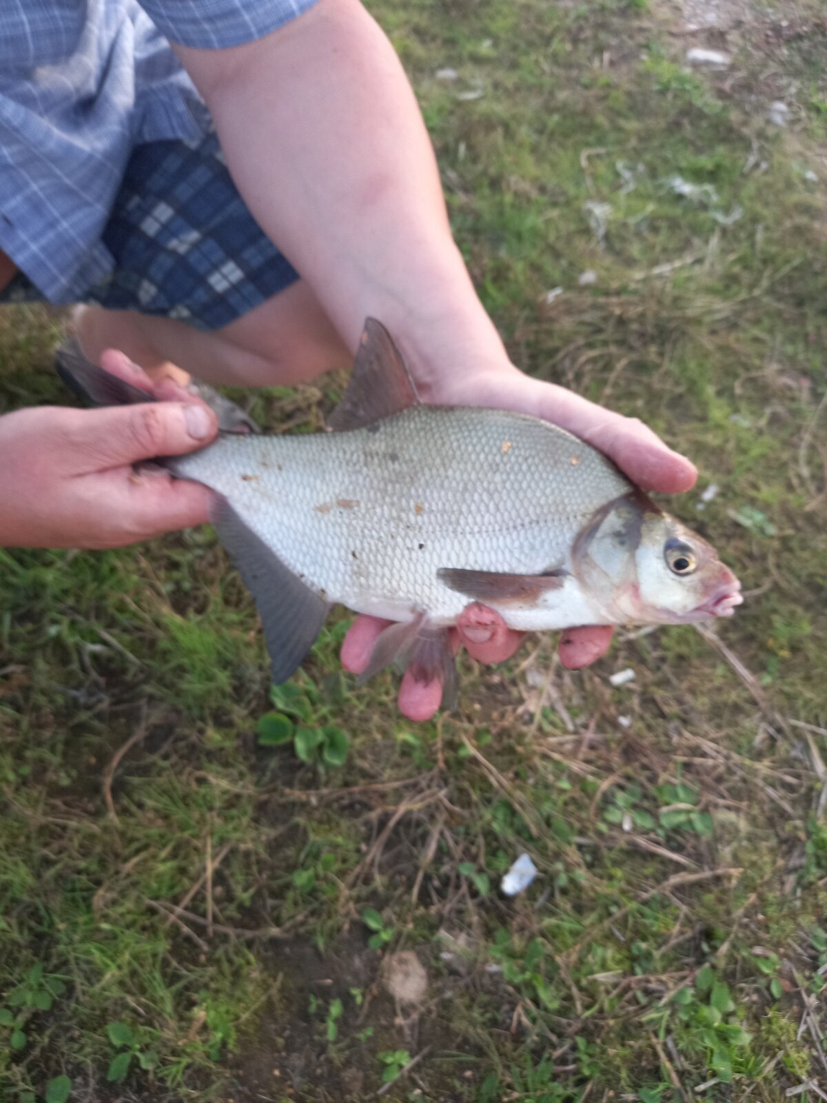 Фото 7 из отзыва о гостевом доме У озера