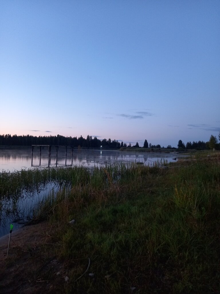 Фото из отзыва от 31.07.2023