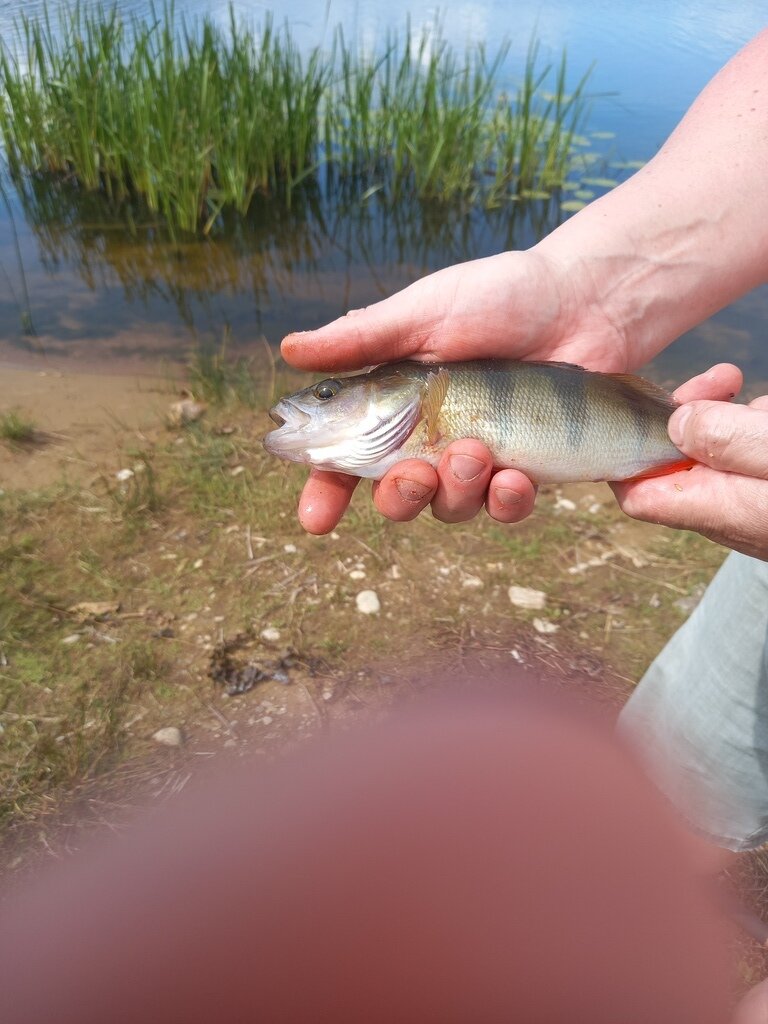 Фото из отзыва от 31.07.2023