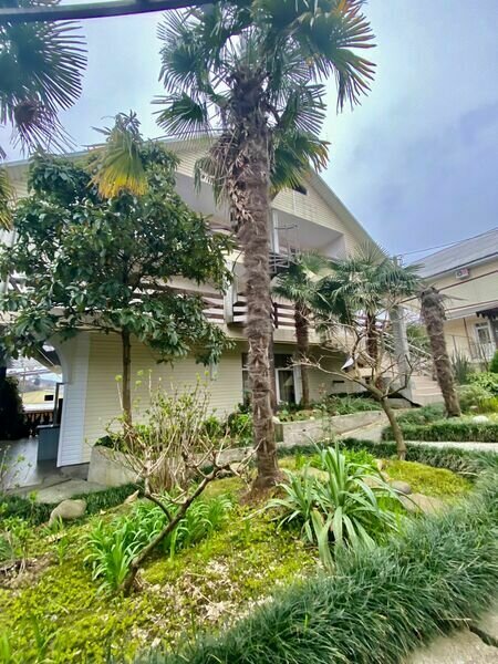 Двор | Александрия, Краснодарский край