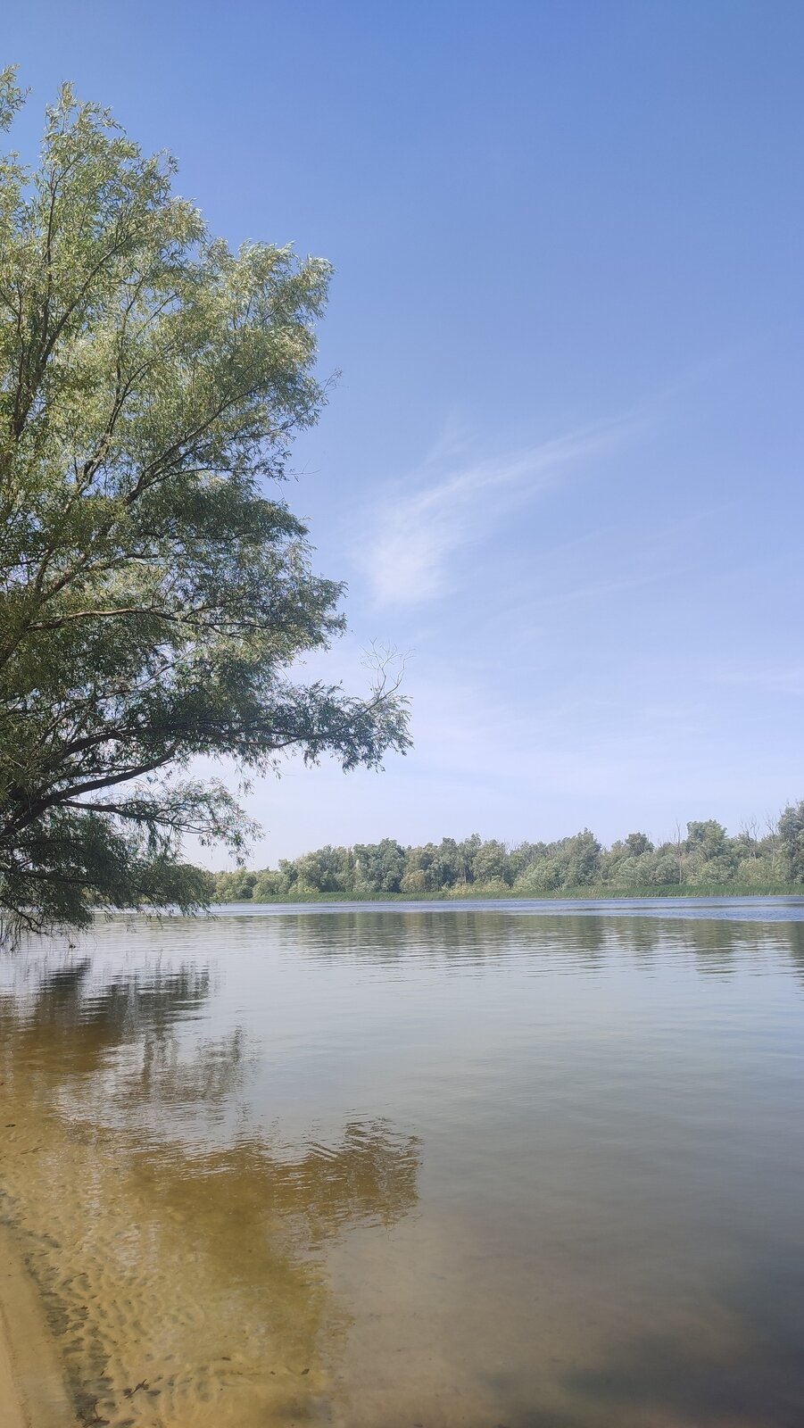 Фото 209 из отзыва о базе отдыха Донская Миля