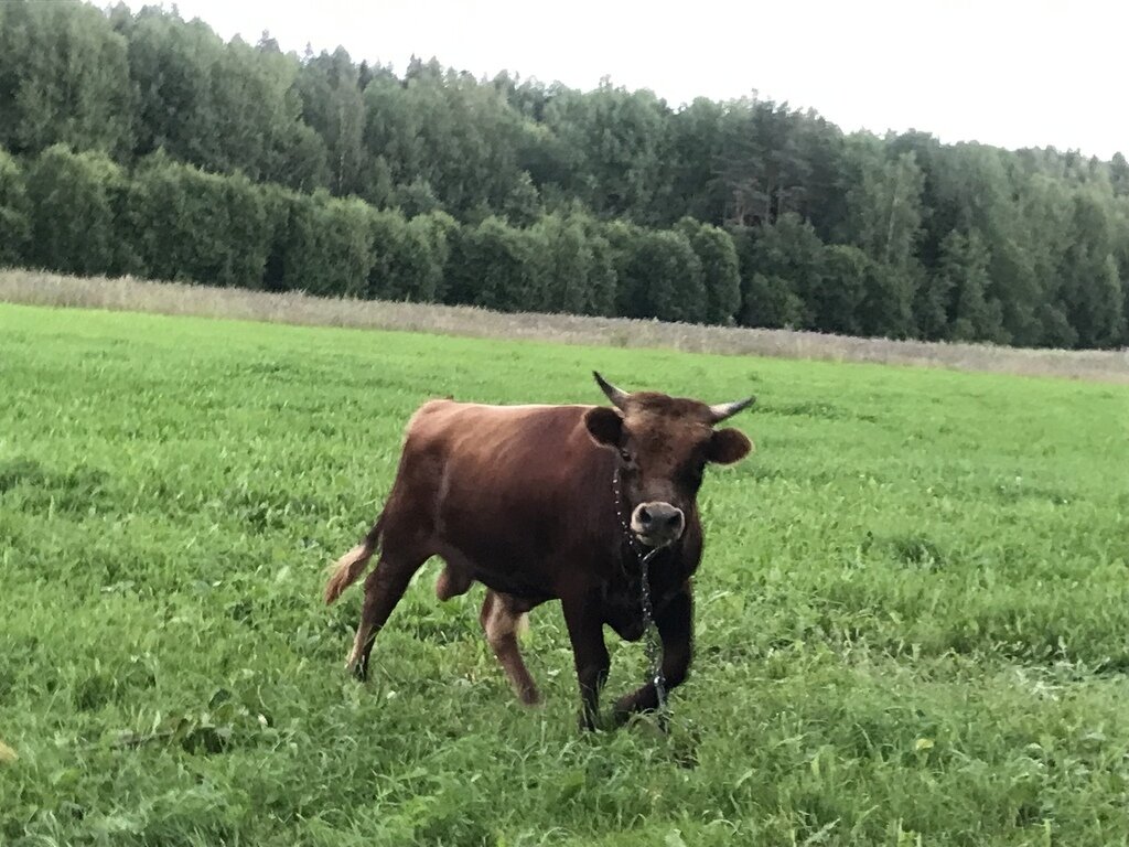 Фото из отзыва от 08.08.2023