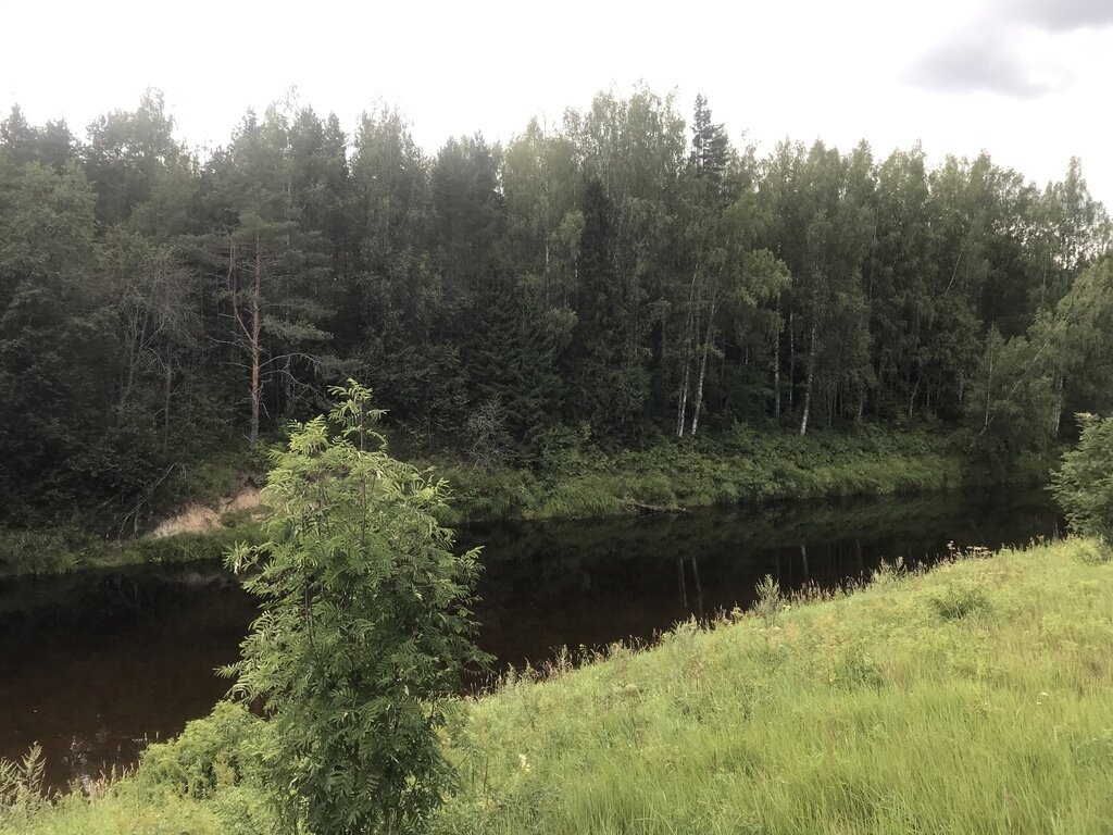 Фото из отзыва от 08.08.2023