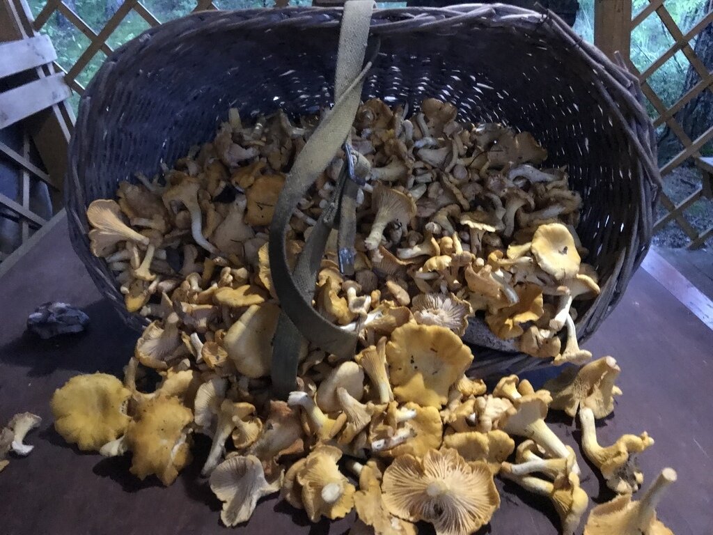 Фото из отзыва от 08.08.2023