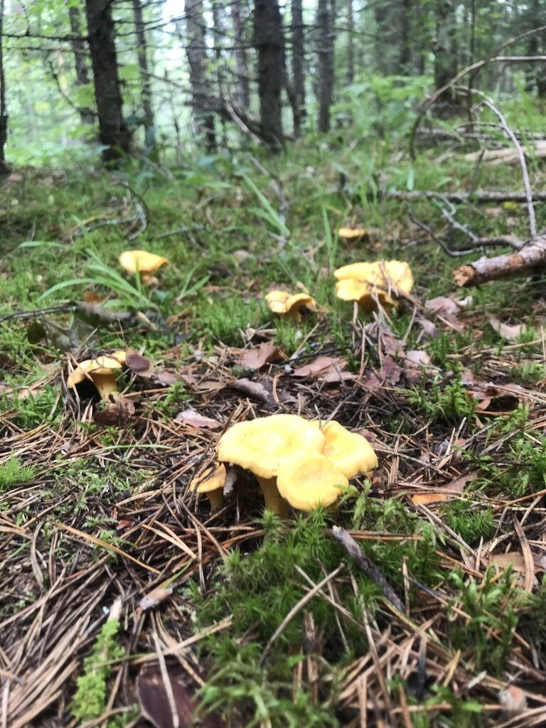 Фото из отзыва от 08.08.2023