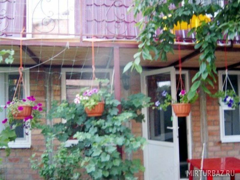 Альянс, Краснодарский край: фото 2