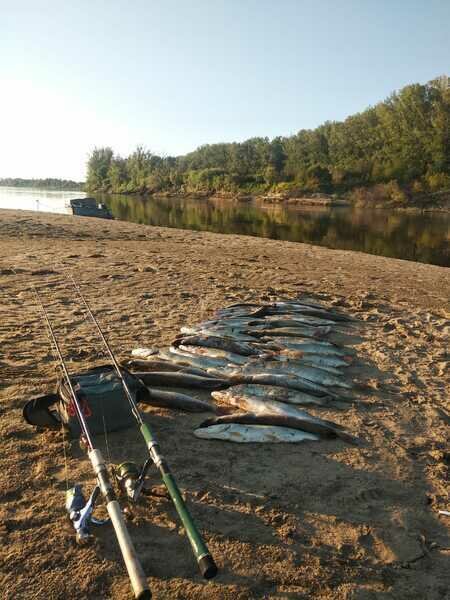 Дом Охотника и Рыбака, Томская область: фото 3