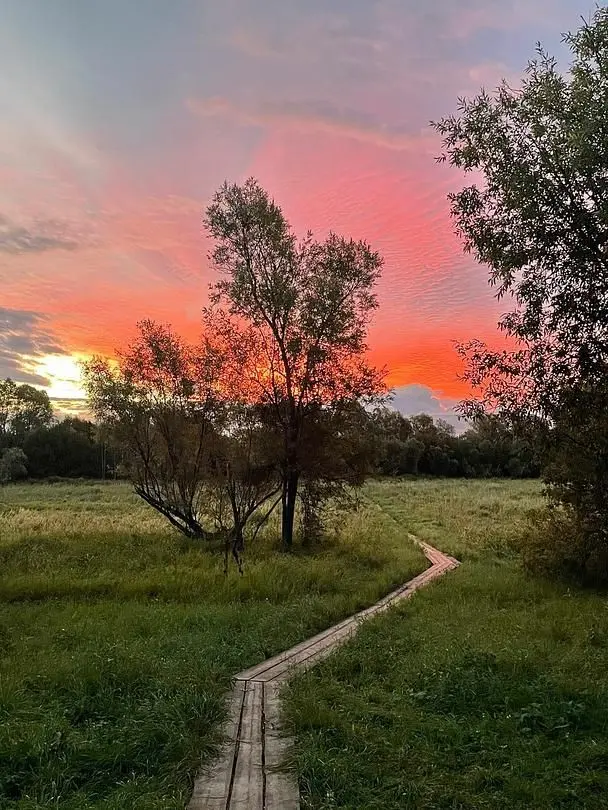 Дом Охотника и Рыбака, Томская область: фото 5