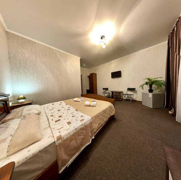 Комфорт 3-местный (вид на сад)