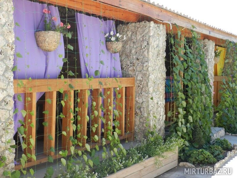 База отдыха Степная, Крым, Оленевка 