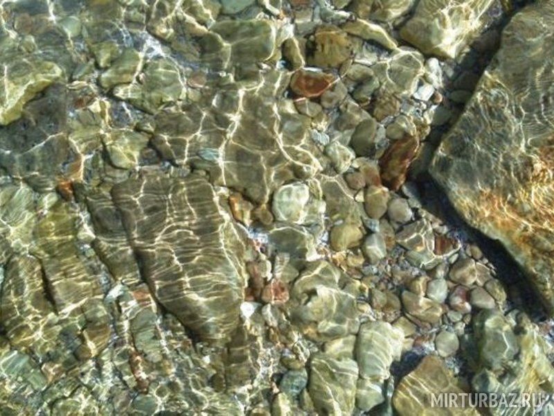 База отдыха «Степная» | Степная, Крым