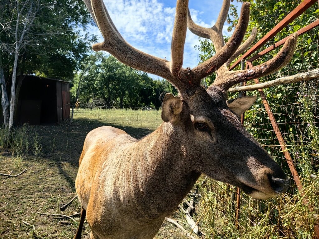 Фото из отзыва от 09.08.2023