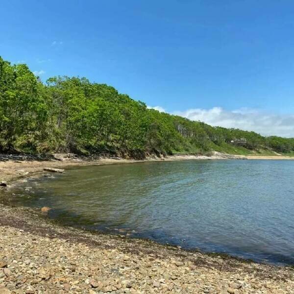 Садко, Приморский край: фото 5