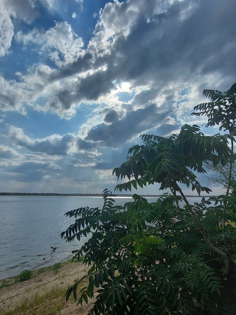 Фото из отзыва от 21.07.2023