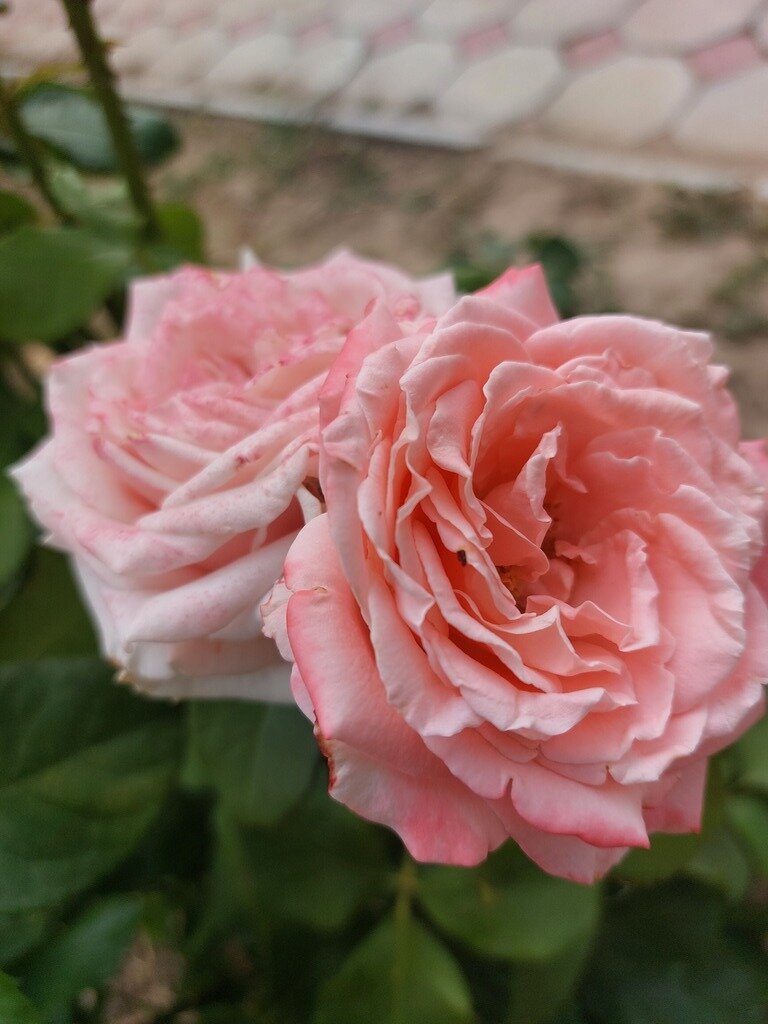 Фото из отзыва от 21.07.2023