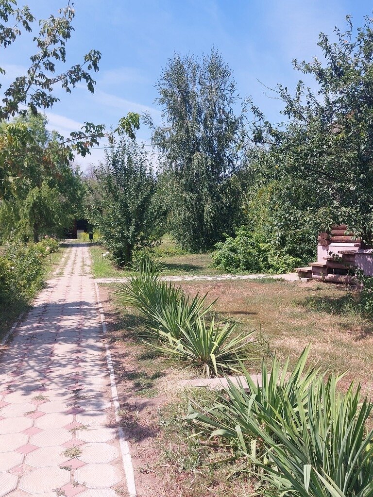 Фото из отзыва от 21.07.2023