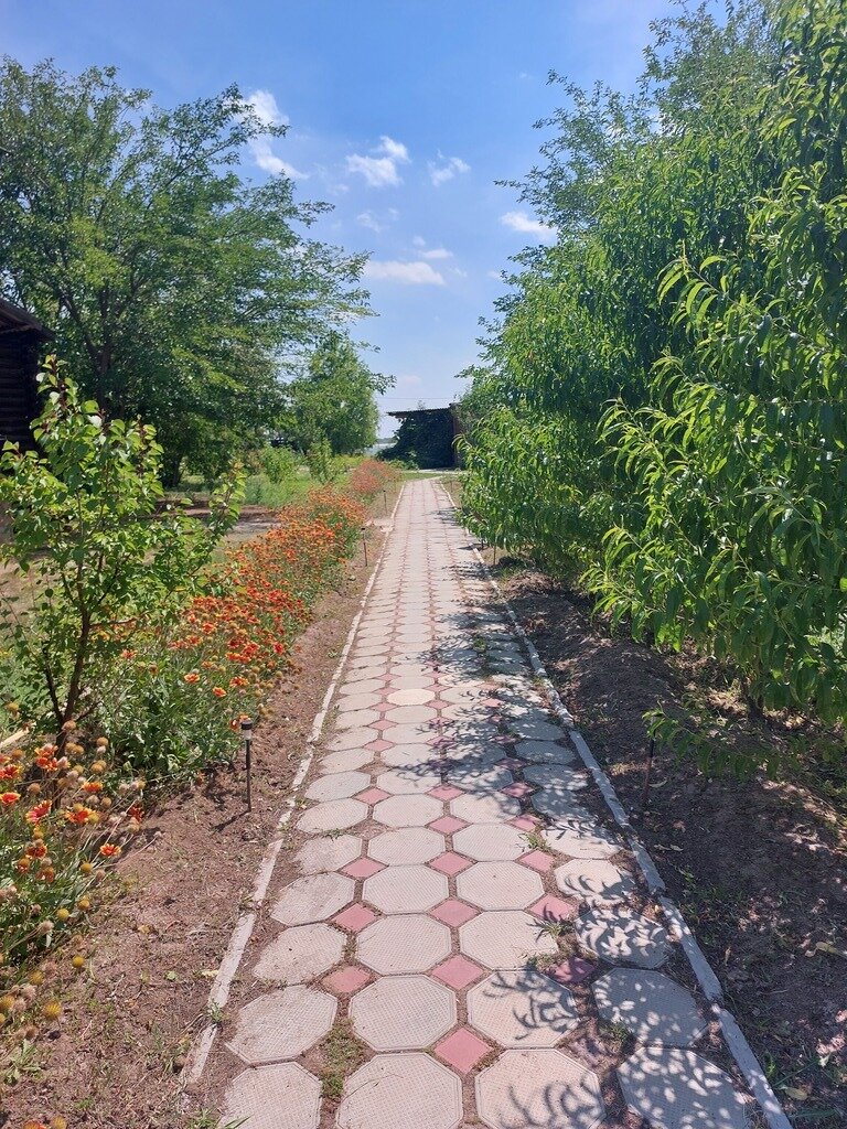 Фото из отзыва от 21.07.2023