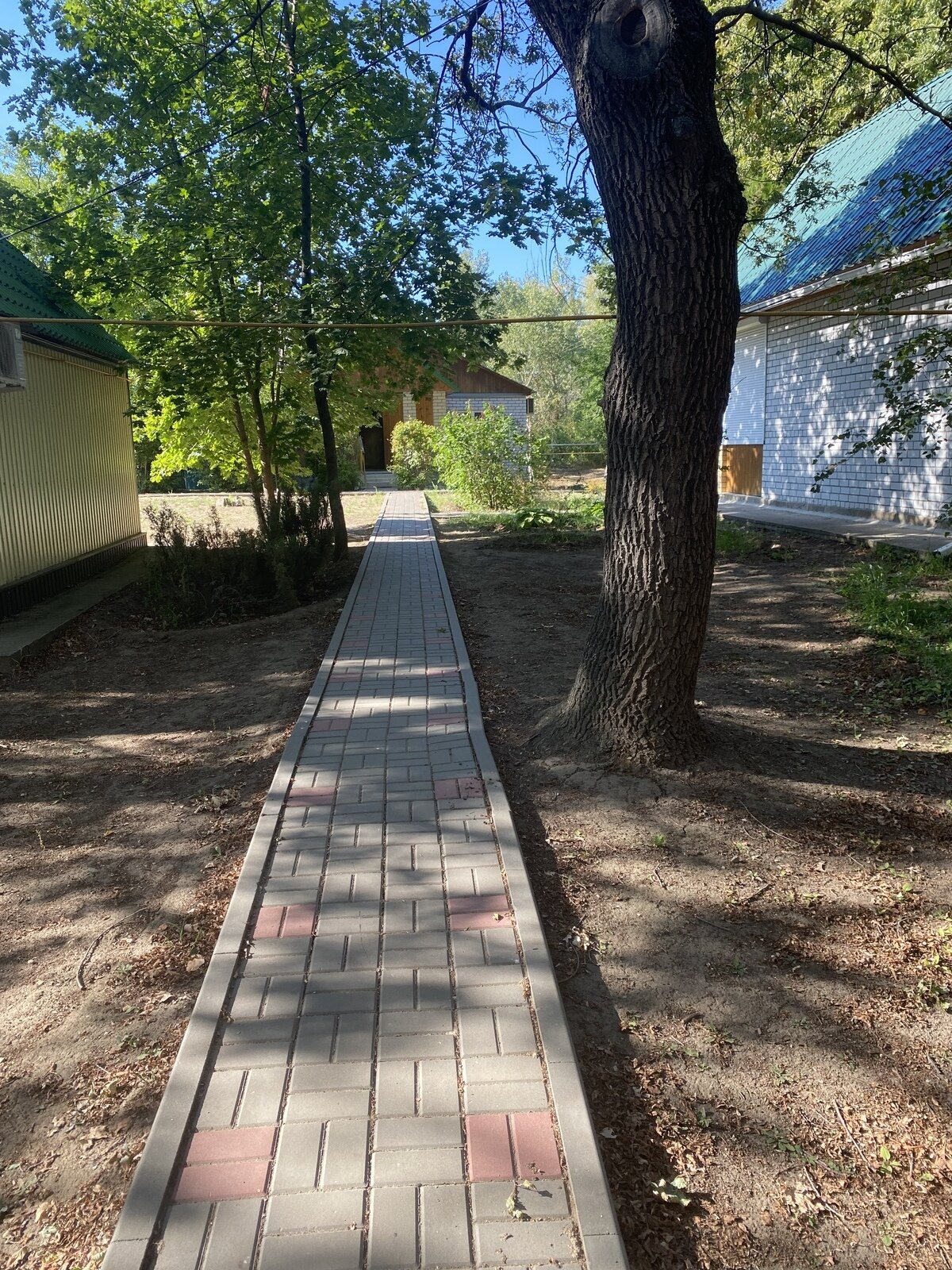 Фото 26 из отзыва о базе отдыха Дружба