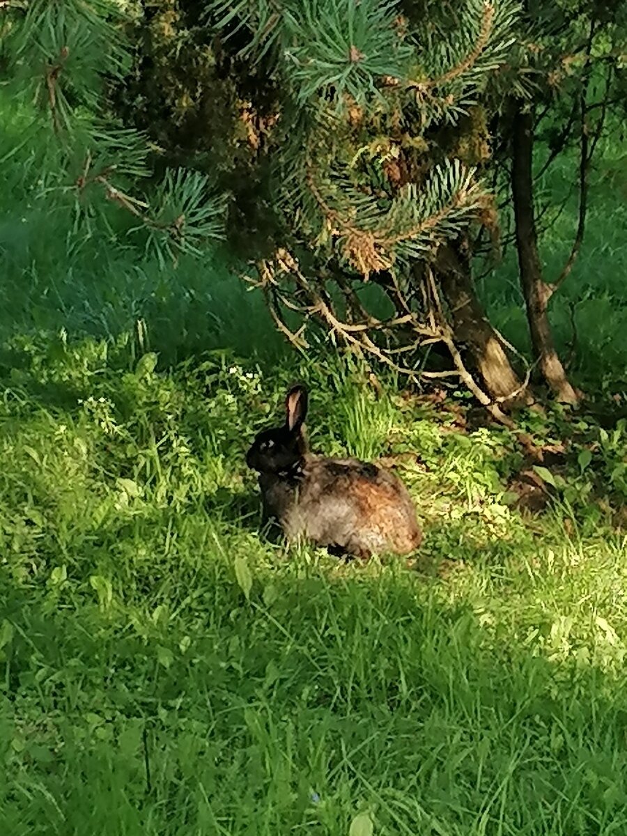 Фото 27 из отзыва о базе отдыха Бриз