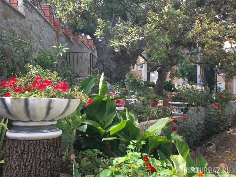 Мини-гостиница  «Лукоморье» | Лукоморье, Крым