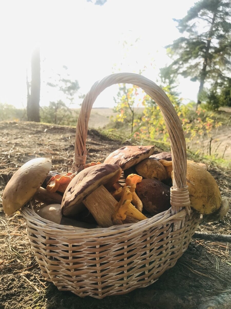 Фото 10 из отзыва о частном доме Ильинка в Карелии