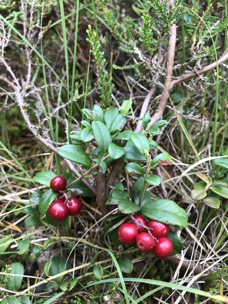 Фото из отзыва от 01.09.2023