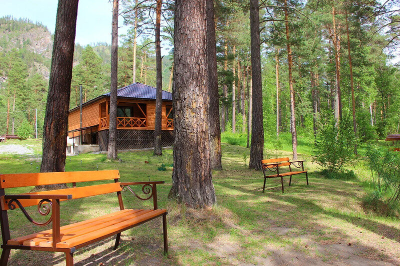 Внешний вид | ЭРАНДЭЛ, Алтайский край