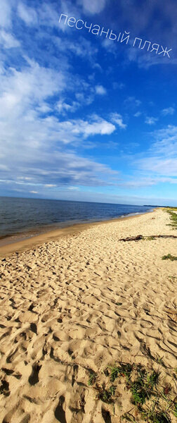 Домик 4-местный (семейный)