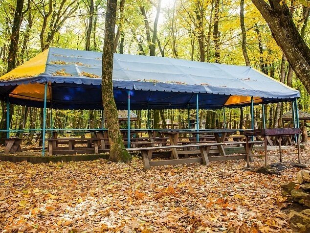 Лесное озеро, Ставропольский край: фото 3