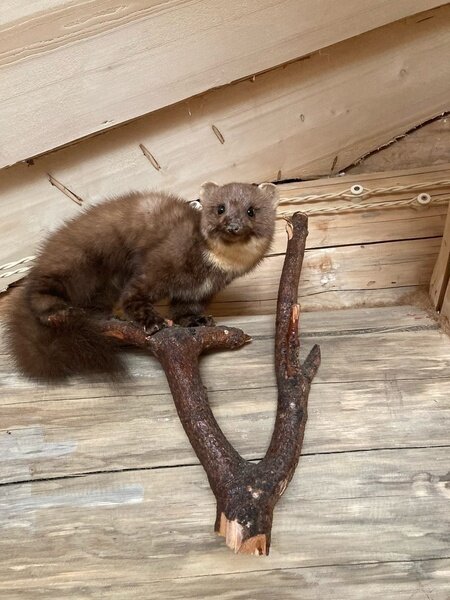 Дом 4-местный