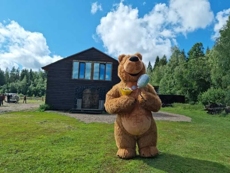 Яви Нави, Ленинградская область: фото 4