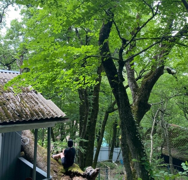 Эконом 4-местный (на горе)