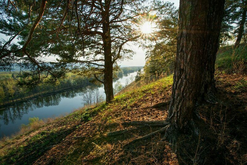 Территория | Маяк, Самарская область