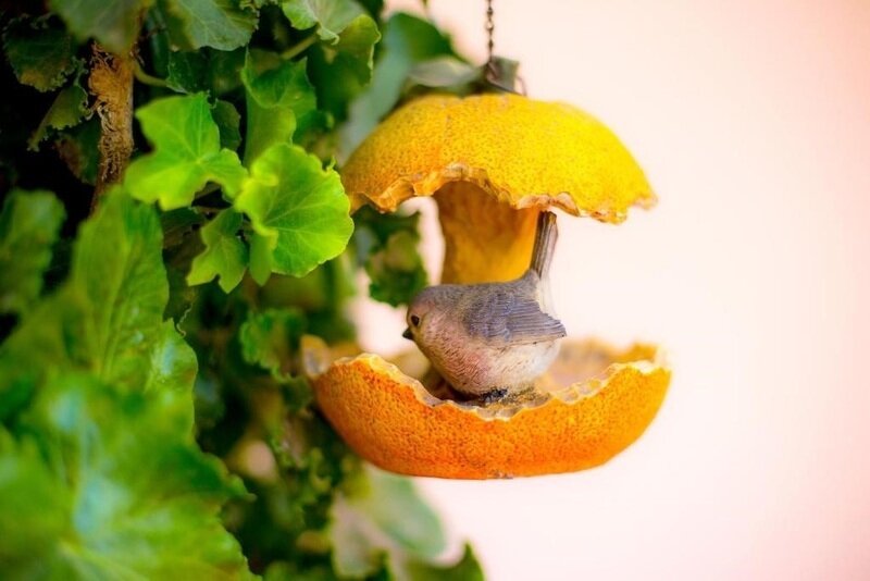 Студио Семейный 4-местный