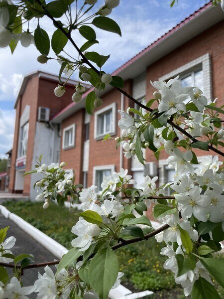 Санаторий Маян, Свердловская область, Гора Хрустальная 