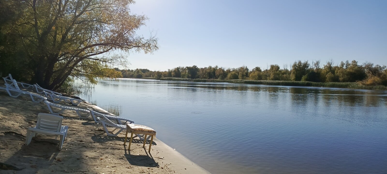 Фото 198 из отзыва о базе отдыха Донская Миля
