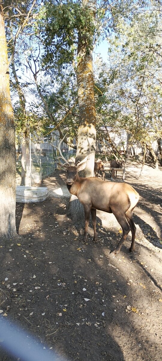 Фото 196 из отзыва о базе отдыха Донская Миля