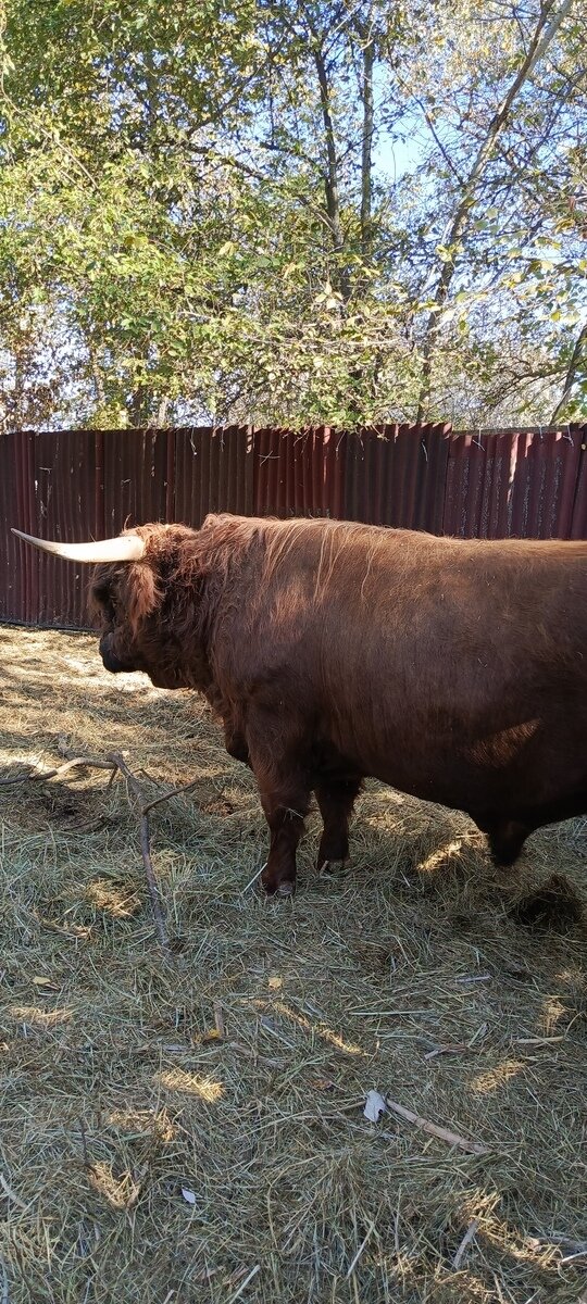 Фото 202 из отзыва о базе отдыха Донская Миля