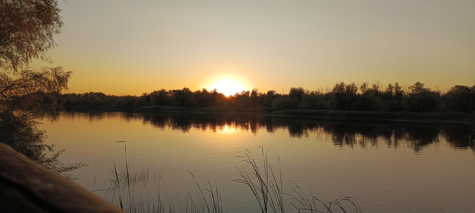 Фото 195 из отзыва о базе отдыха Донская Миля