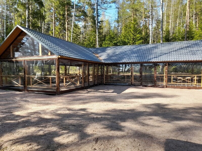 Озеро Зеркальное, Ленинградская область: фото 3