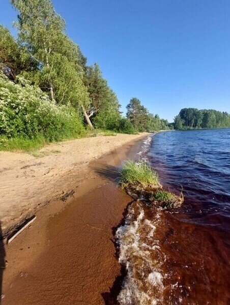 Барнхаус, Республика Карелия: фото 4