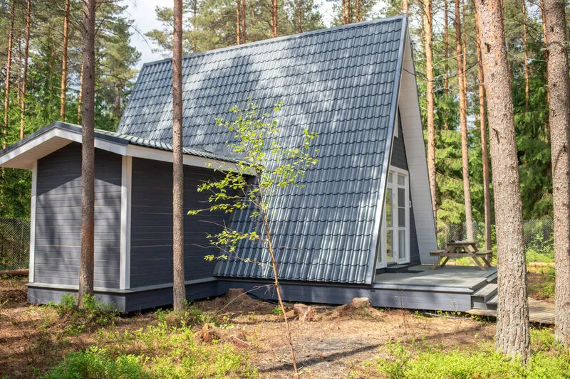 Пикник 2.0, Ленинградская область: фото 4