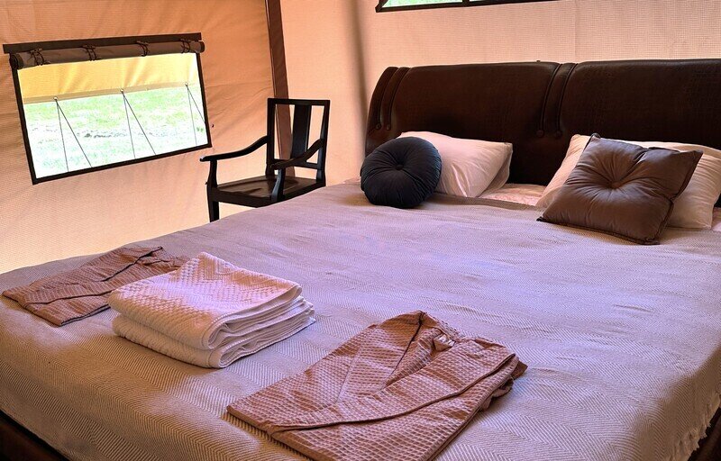 Глемпинг Сафари тент