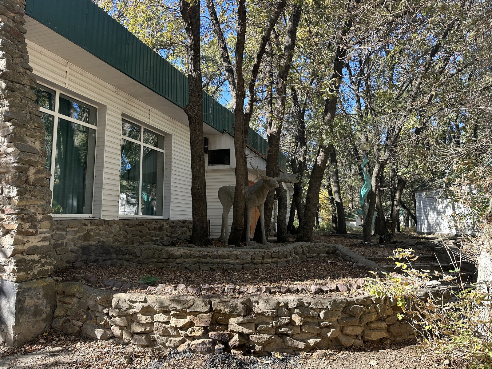 Фото 7 из отзыва о базе отдыха Лада